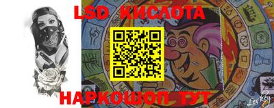 индика Рузаевка