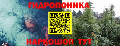 индика Рузаевка