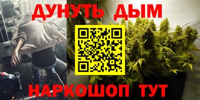 индика Рузаевка