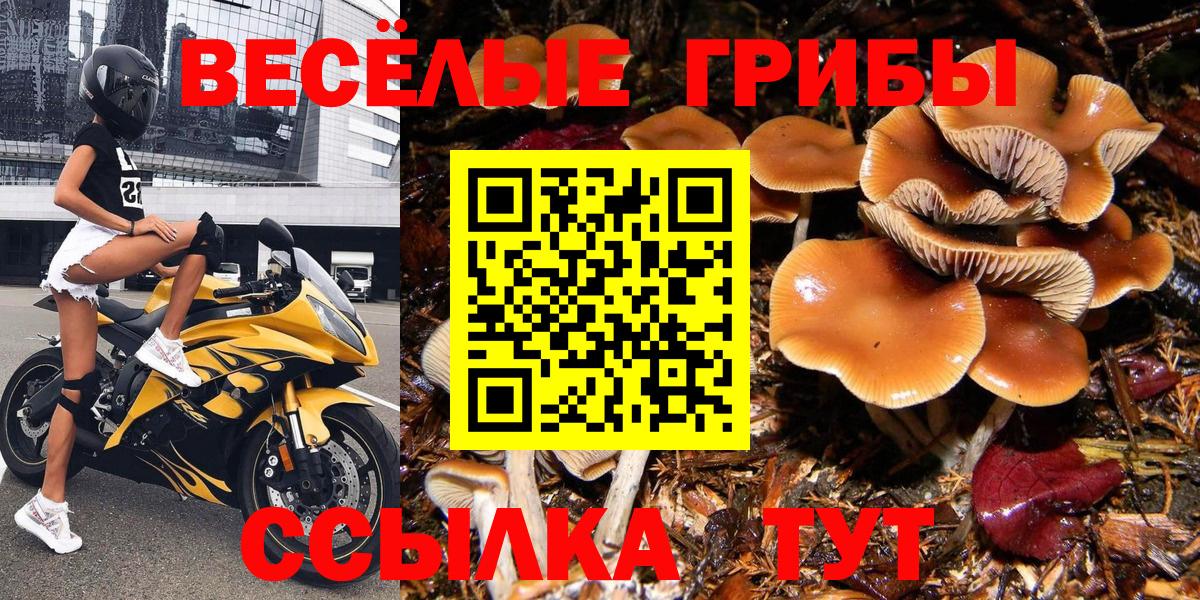 Псков  Галлюциногенные грибы MAGIC MUSHROOMS  Вход с VPN 